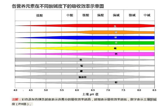 养花技巧：如何调整盆栽土壤PH值